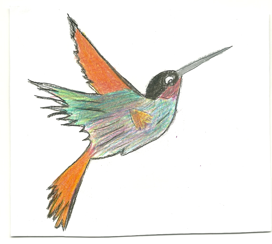 Colibrì - guida-alla-lettura-coraggio